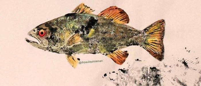 Gyotaku Fish Painting Graphic